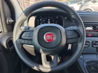 FIAT Panda usata 16