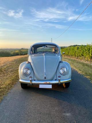 VOLKSWAGEN Maggiolino usata 6