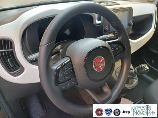 FIAT Panda usata, con Chiusura centralizzata telecomandata