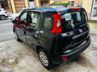FIAT Panda usata, con Climatizzatore