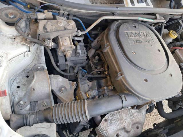 FIAT Punto usata 24
