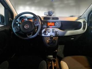 FIAT Panda usata 23