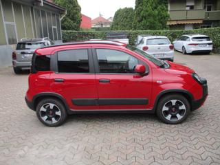 FIAT Panda Cross usata, con Climatizzatore