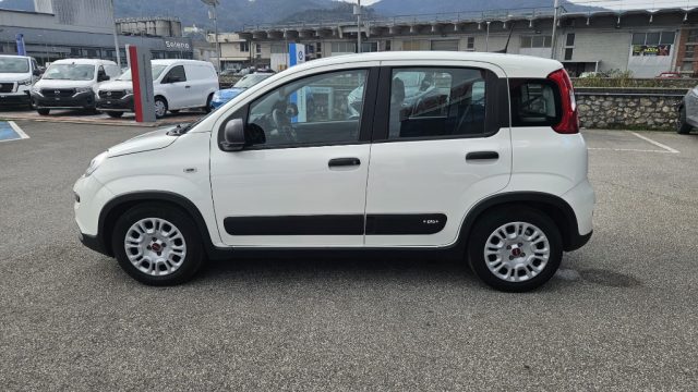 FIAT Panda usata, con Climatizzatore