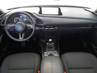 MAZDA CX-30 usata, con Controllo trazione