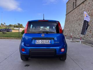 FIAT Panda usata 54
