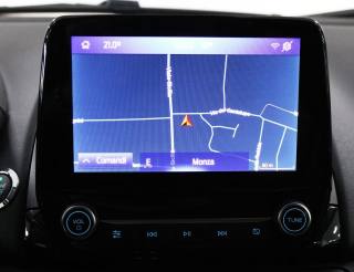 FORD EcoSport usata, con Vetri oscurati