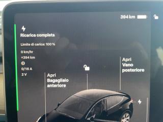 TESLA Model Y usata 61