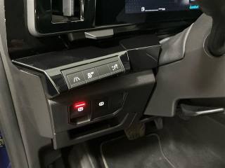 RENAULT Austral usata 26