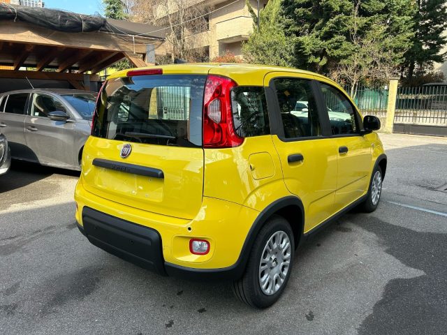 FIAT Panda usata, con Airbag Passeggero
