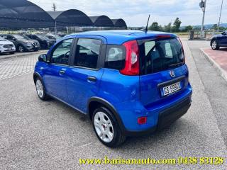 FIAT Panda usata, con Alzacristalli elettrici