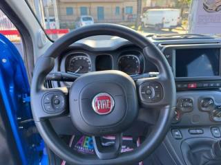 FIAT Panda Cross usata, con Controllo trazione