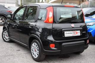 FIAT Panda usata, con Alzacristalli elettrici