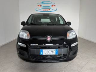 FIAT Pandina 1.0 FireFly 65 CV .Hybrid Icon