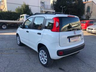 FIAT Panda usata, con Airbag Passeggero