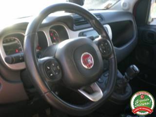 FIAT Panda Cross usata, con Trazione integrale