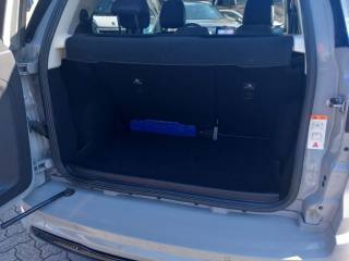 FORD EcoSport usata, con Cruise Control