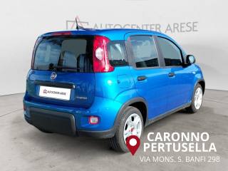 FIAT Panda usata, con Antifurto