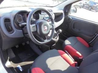 FIAT Panda usata 17