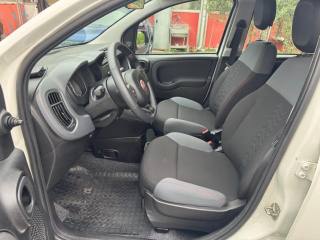 FIAT Panda usata, con Luci diurne