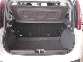 FIAT Panda usata 15