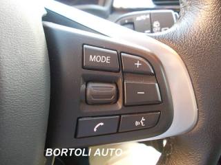 BMW X2 usata, con Bracciolo