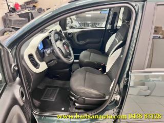 FIAT Panda usata, con Antifurto