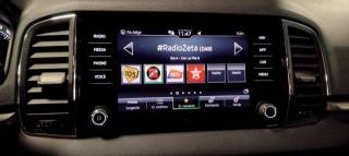 SKODA Karoq usata 28