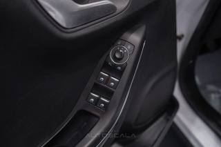 FORD Puma usata, con Fendinebbia