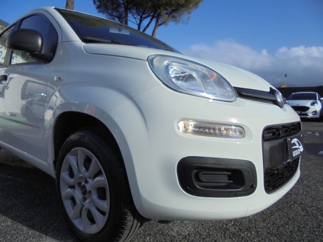 FIAT Panda usata 13