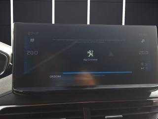 PEUGEOT 3008 usata, con Luci diurne LED