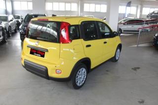 FIAT Panda usata, con Airbag Passeggero