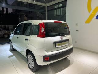FIAT Panda usata, con Alzacristalli elettrici
