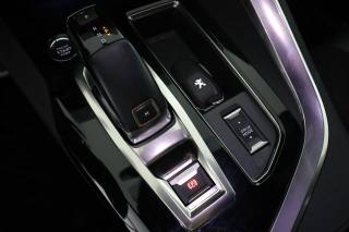 PEUGEOT 3008 usata 13