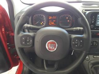 FIAT Panda usata, con Boardcomputer