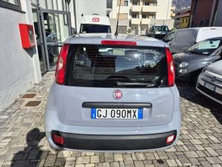 FIAT Panda usata, con Chiusura centralizzata