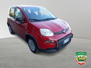 FIAT Panda usata, con ESP