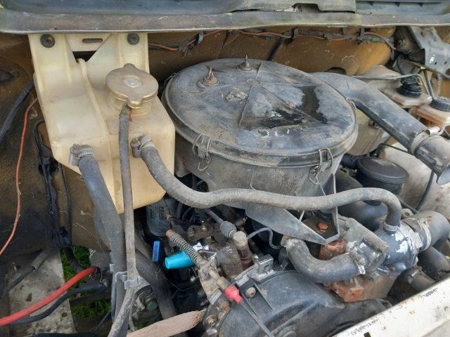 FORD Transit usata 7