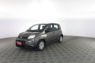 FIAT Panda usata 6