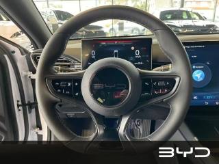 BYD Seal usata, con Cruise Control