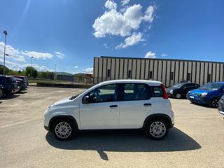 FIAT Panda usata 15