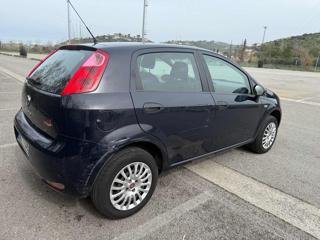 FIAT Punto usata, con Controllo trazione
