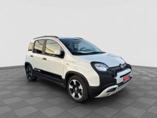 FIAT Panda usata 6