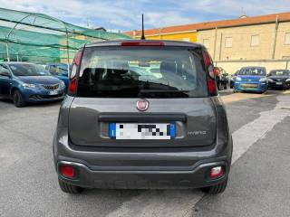 FIAT Panda usata, con Antifurto