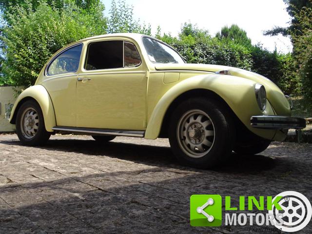 VOLKSWAGEN Maggiolone usata 6