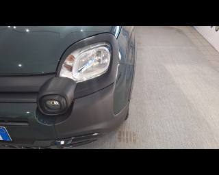 FIAT Pandina Cross usata 27