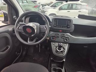 FIAT Panda usata, con Fendinebbia