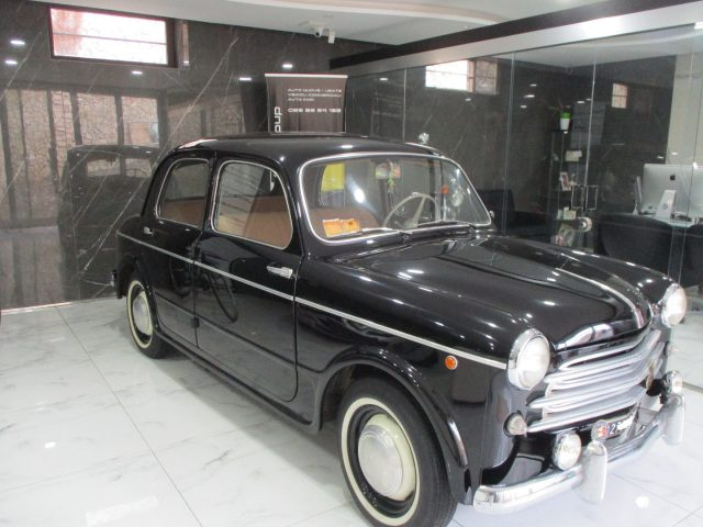 FIAT 1100 usata 1