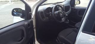 FIAT Panda Cross usata, con Sensore di luce