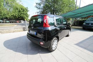 FIAT Panda usata, con Airbag Passeggero